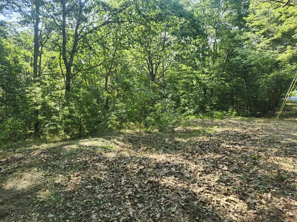 055 Wiscasset Road Whitefield ME 04353