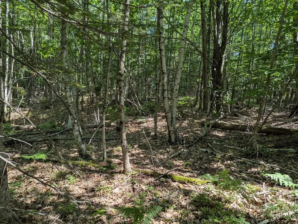 0 Beech Ridge Road Scarborough ME 04074