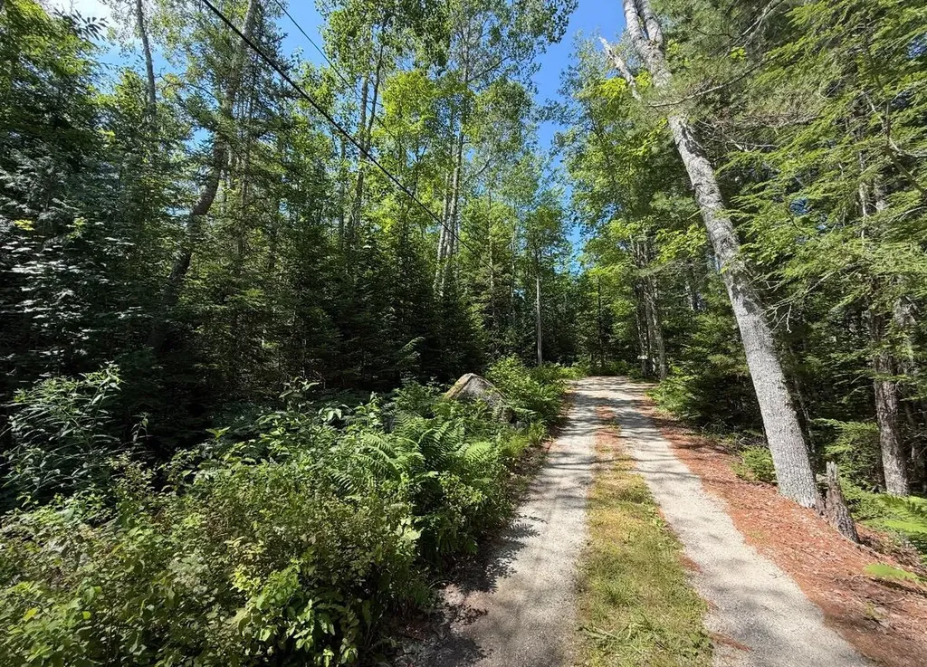 Lot 23 Webb Pond Road Eastbrook ME 04634