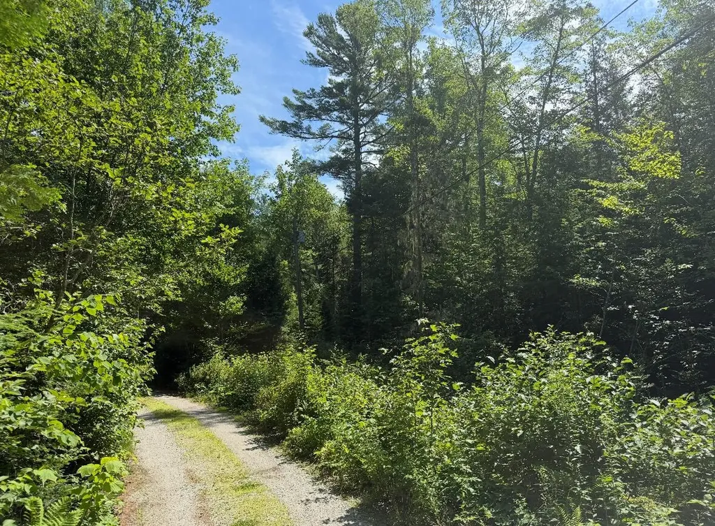 Lot 23 Webb Pond Road Eastbrook ME 04634