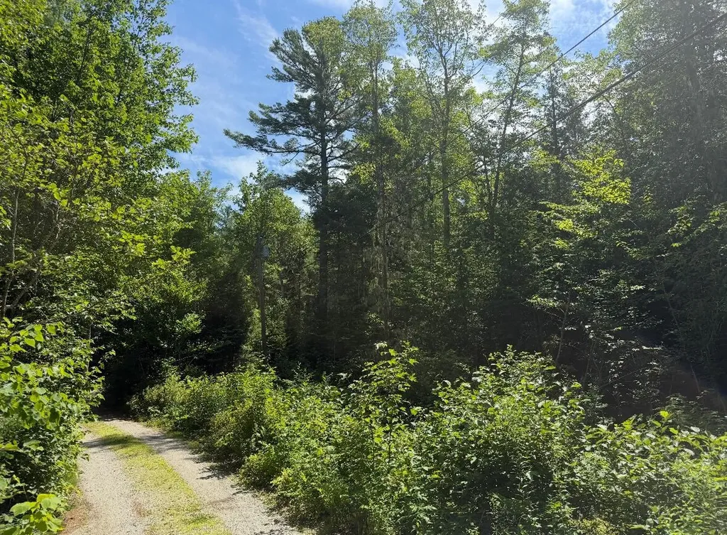 Lot 23 Webb Pond Road Eastbrook ME 04634
