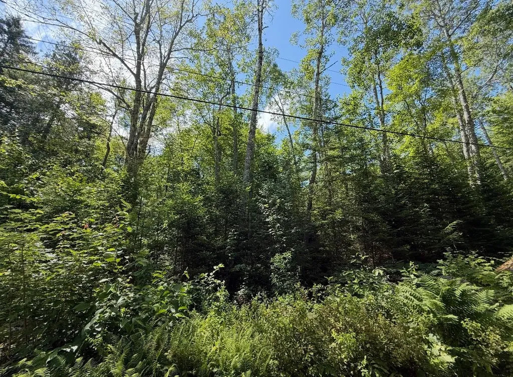 Lot 23 Webb Pond Road Eastbrook ME 04634