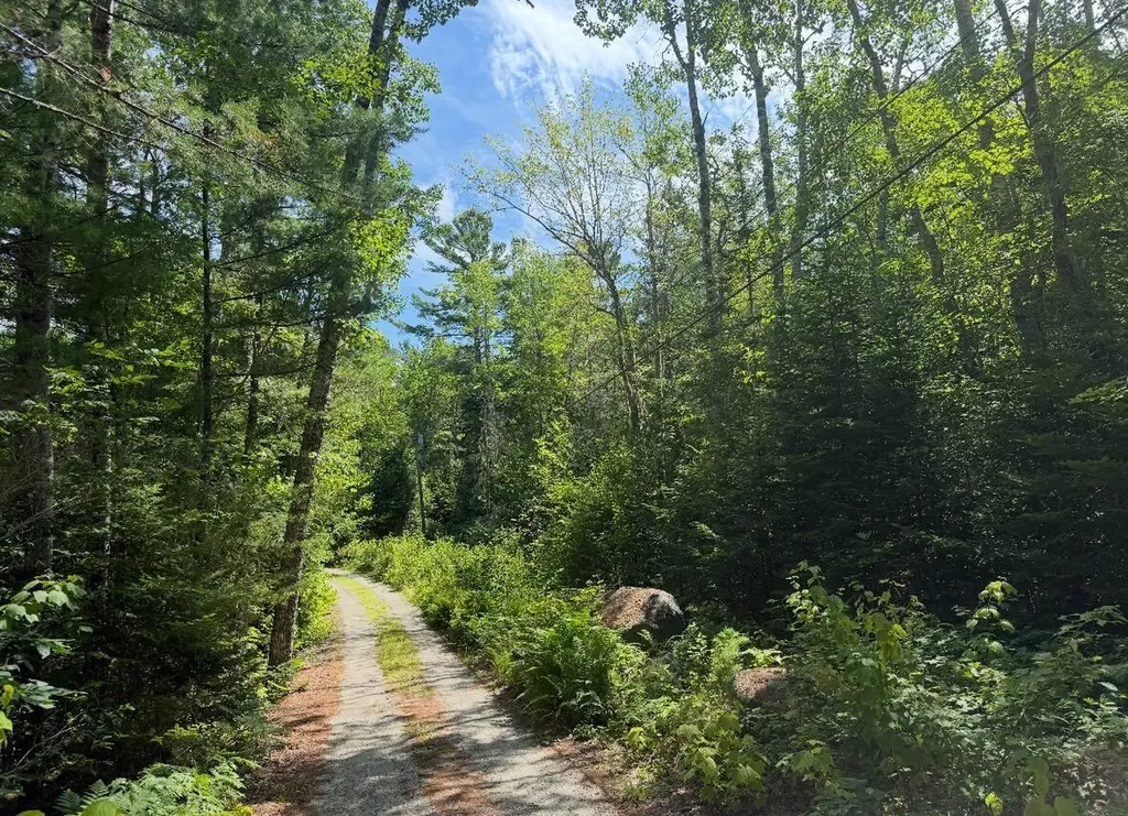 Lot 23 Webb Pond Road Eastbrook ME 04634