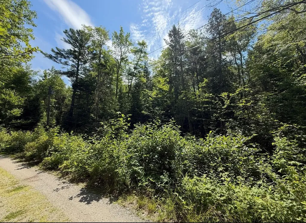 Lot 23 Webb Pond Road Eastbrook ME 04634