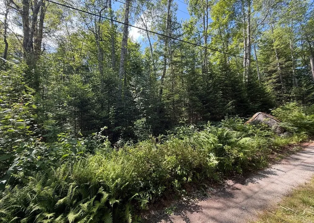 Lot 23 Webb Pond Road Eastbrook ME 04634
