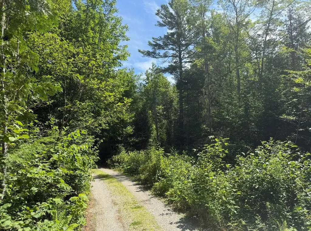 Lot 23 Webb Pond Road Eastbrook ME 04634