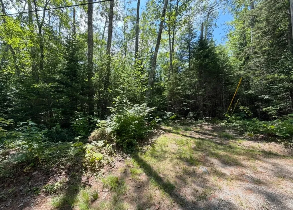 Lot 23 Webb Pond Road Eastbrook ME 04634