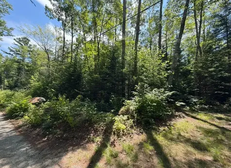 Lot 23 Webb Pond Road Eastbrook ME 04634