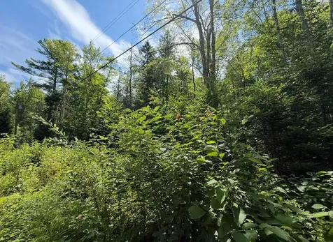 Lot 23 Webb Pond Road Eastbrook ME 04634