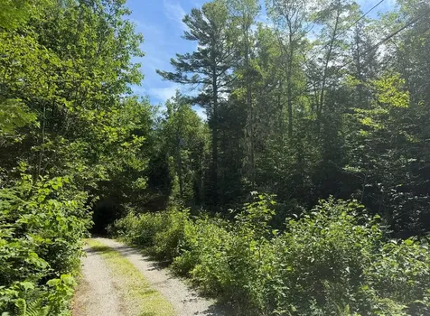 Lot 23 Webb Pond Road Eastbrook ME 04634