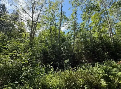 Lot 23 Webb Pond Road Eastbrook ME 04634