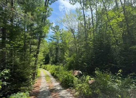 Lot 23 Webb Pond Road Eastbrook ME 04634