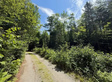 Lot 23 Webb Pond Road Eastbrook ME 04634
