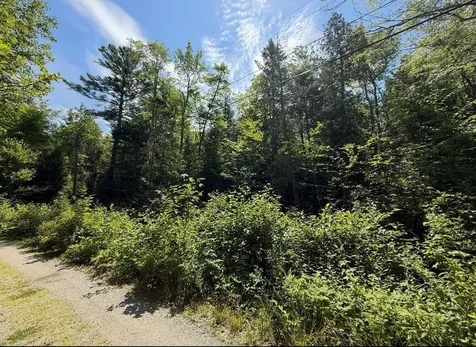 Lot 23 Webb Pond Road Eastbrook ME 04634