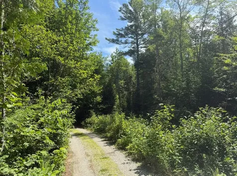 Lot 23 Webb Pond Road Eastbrook ME 04634