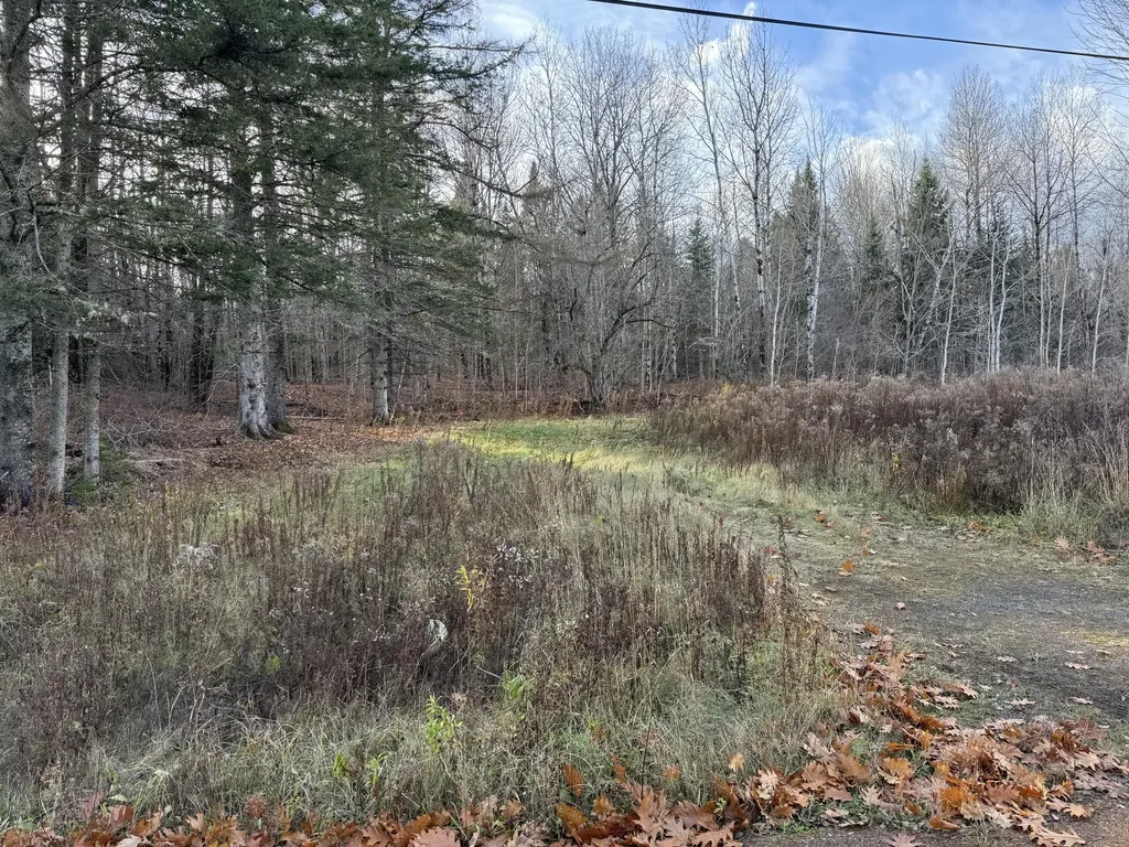 MAP11 Lot1 High Street Westfield ME 04730