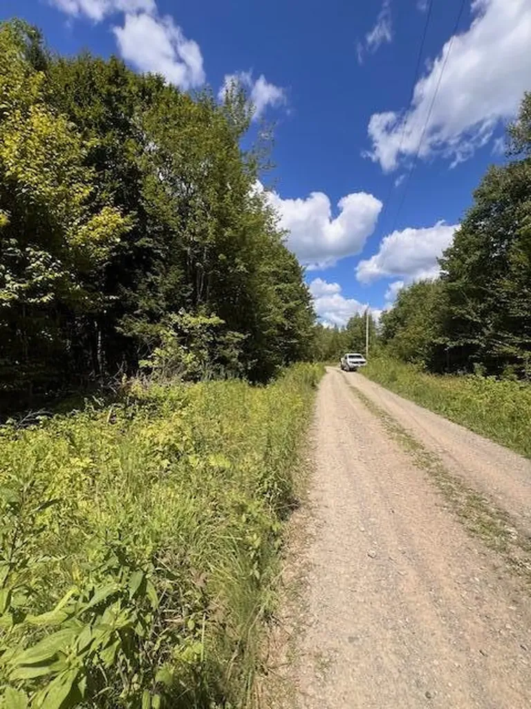 Lot 35 Woodland Ridge Road Danforth ME 04424
