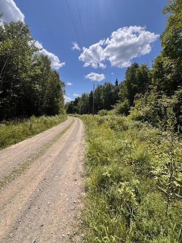 Lot 35 Woodland Ridge Road Danforth ME 04424