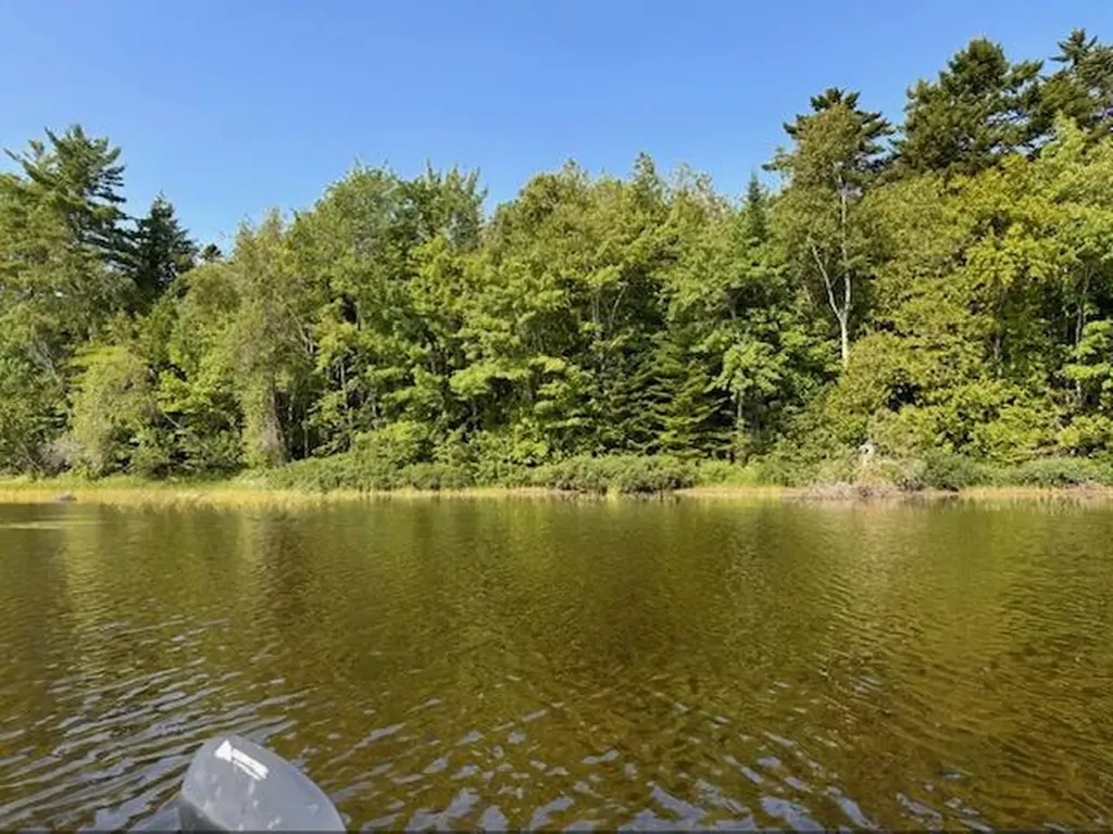 Lot 35 Woodland Ridge Road Danforth ME 04424