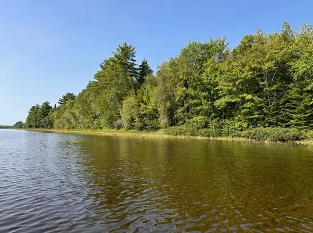 Lot 35 Woodland Ridge Road Danforth ME 04424