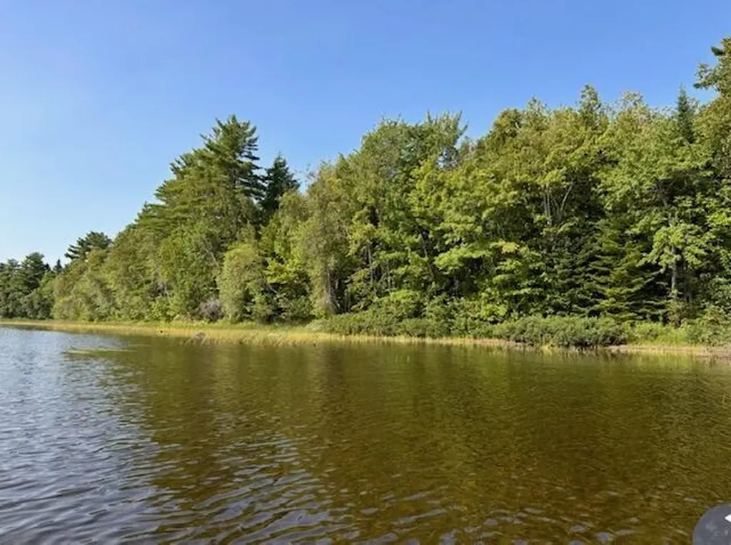 Lot 35 Woodland Ridge Road Danforth ME 04424