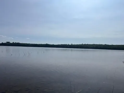 Lot 35 Woodland Ridge Road Danforth ME 04424