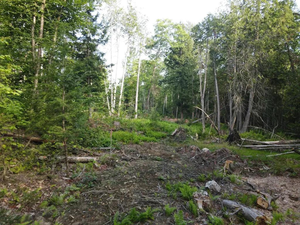 Lot 7 Oak Pond Road Skowhegan ME 04967