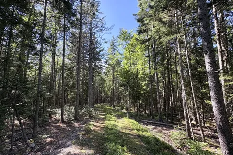 00 Periwinkle Lane Brooklin ME 04616