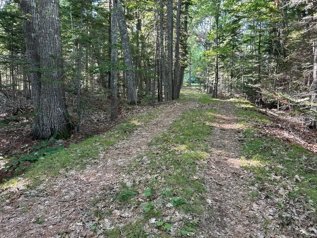 992 Surry Road Surry ME 04684