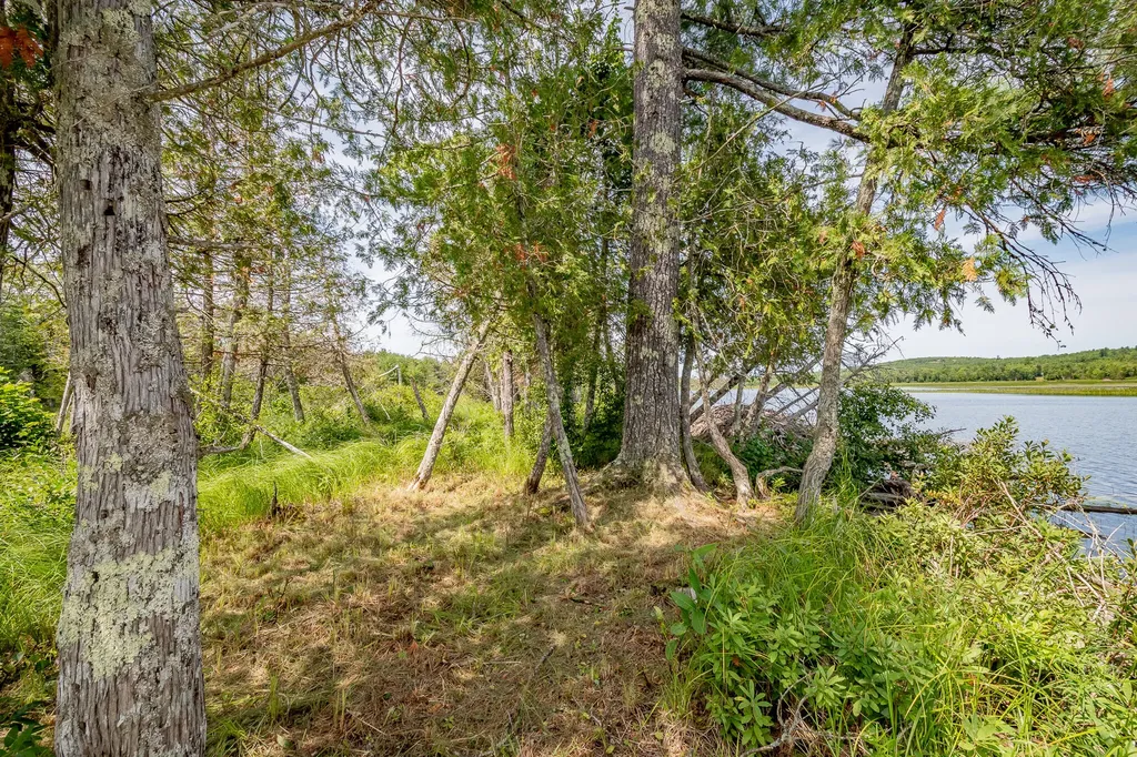 1 Sebec River Island Milo ME 04463