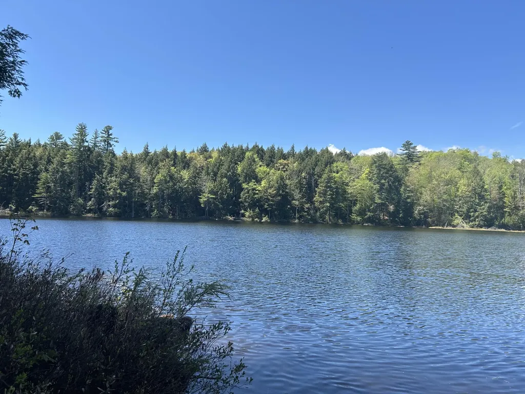 366 Ladd Road Mercer ME 04957
