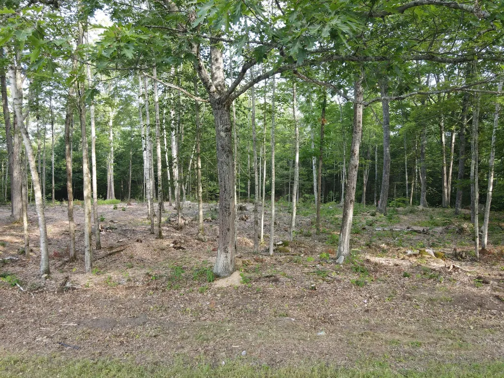 Lot 4 Oak Pond Road Skowhegan ME 04967