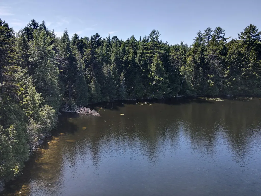 Tbd Depot Road Lakeville ME 04487