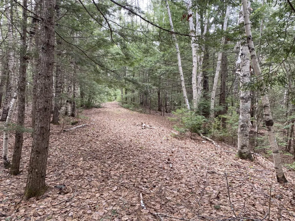 Tbd Depot Road Lakeville ME 04487