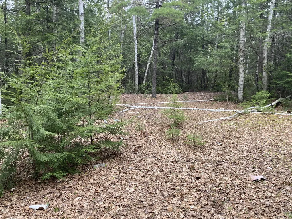 Tbd Depot Road Lakeville ME 04487