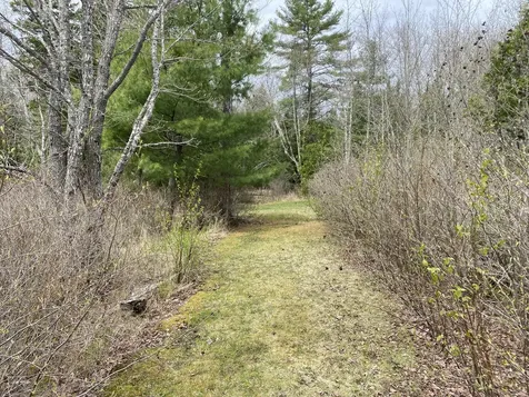 Tbd Depot Road Lakeville ME 04487