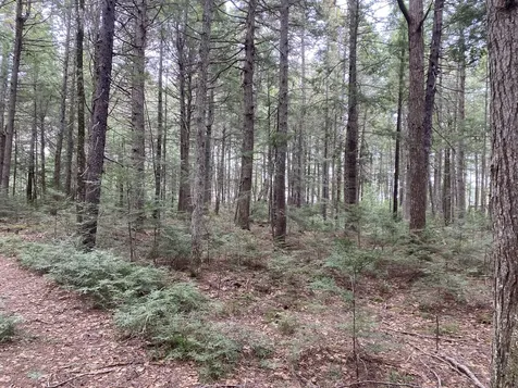 Tbd Depot Road Lakeville ME 04487