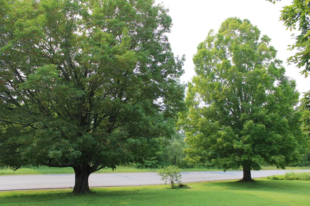 138 Reach Road Presque Isle ME 04769