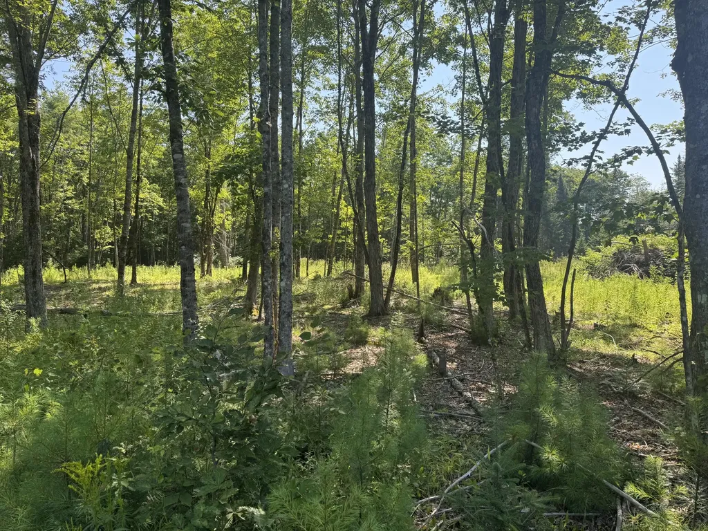 Tbd Brookside Lane Appleton ME 04862
