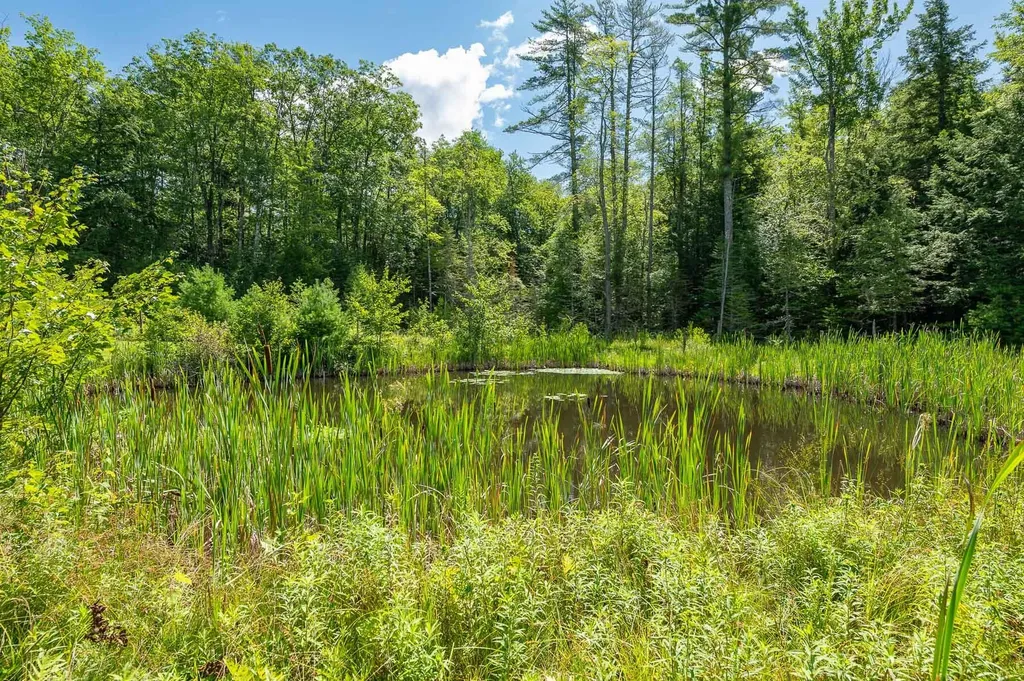 84 Shady Nook Road Newfield ME 04095