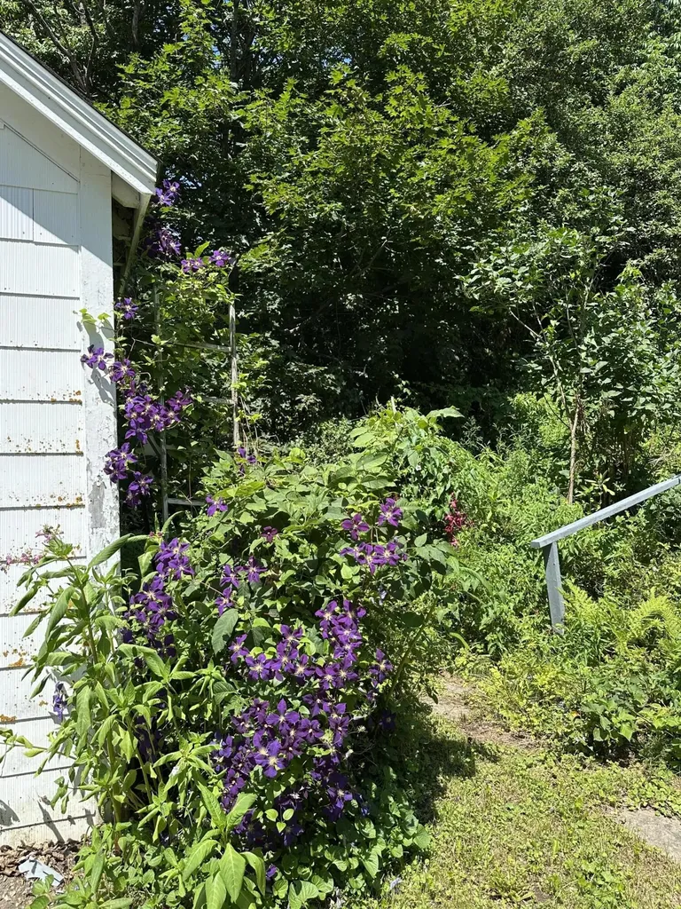 24 Old Route 1 Waldoboro ME 04572