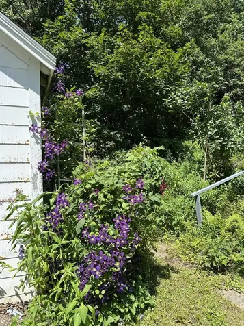 24 Old Route 1 Waldoboro ME 04572