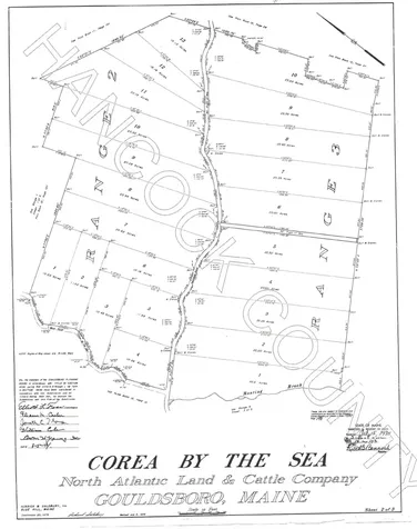 Map54Lot18 Grand Marsh Bay Road Gouldsboro ME 04607