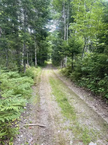 64 Ip Road Coplin Plt ME 04982