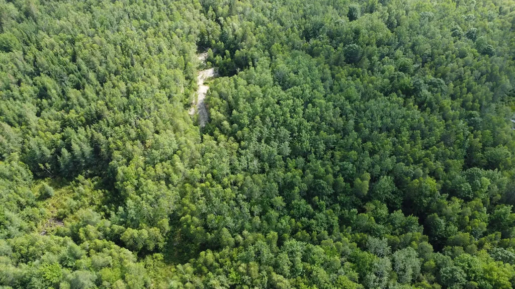 7 Sharon Lane Cherryfield ME 04622