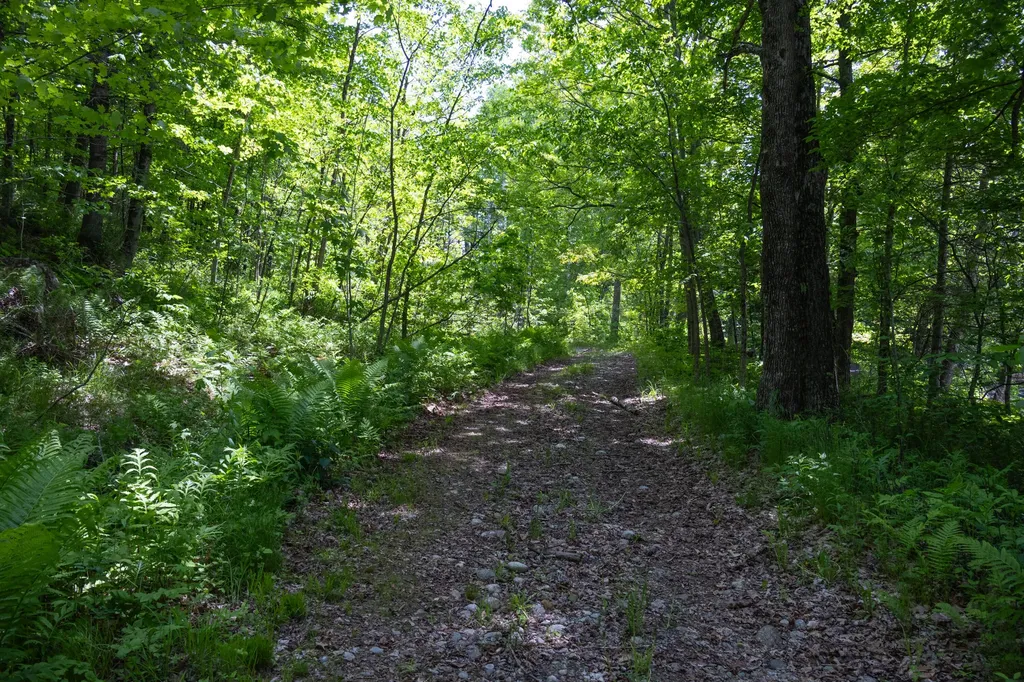 10 South Arm Road Andover ME 04226