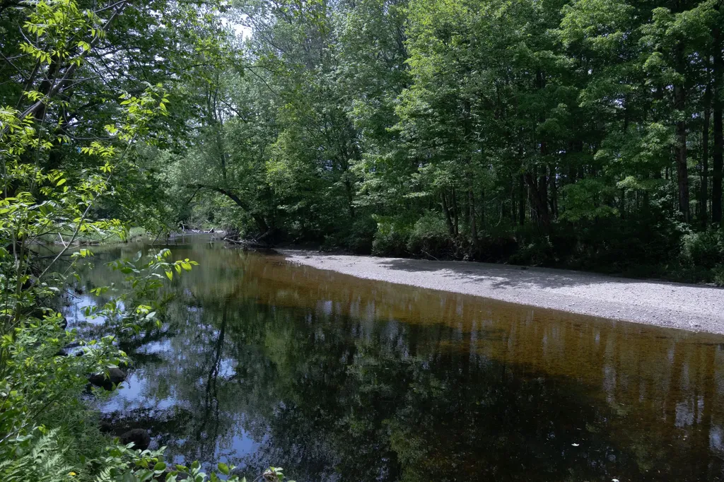 10 South Arm Road Andover ME 04226