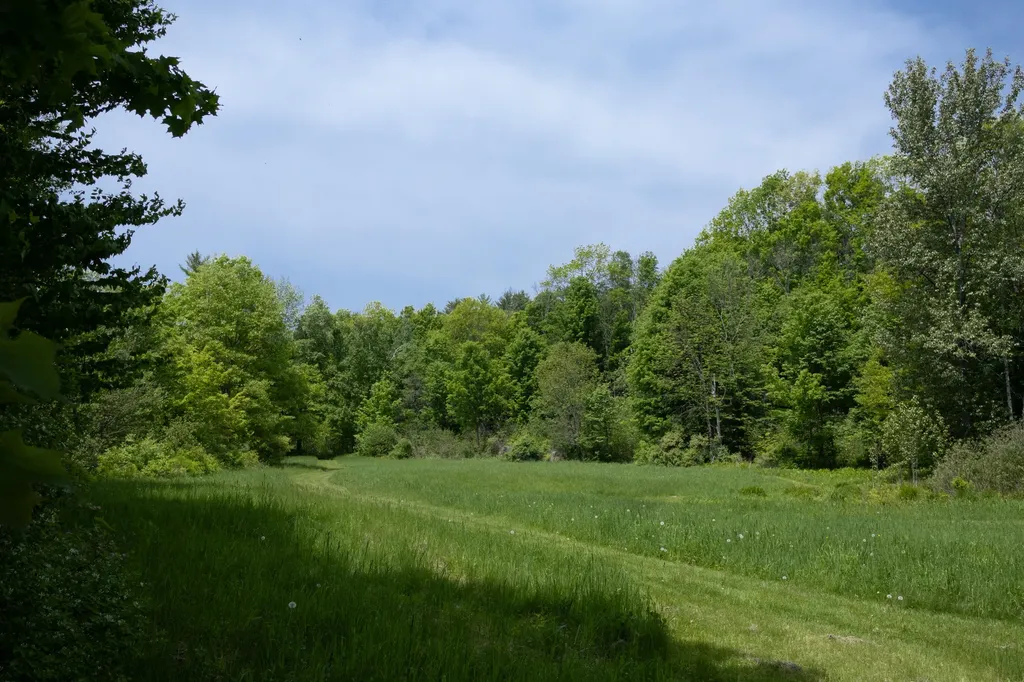 10 South Arm Road Andover ME 04226