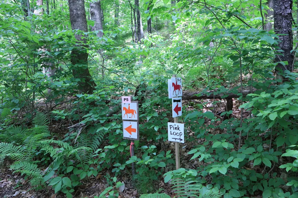 10 South Arm Road Andover ME 04226