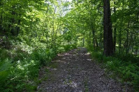 10 South Arm Road Andover ME 04226